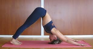 Downward-Facing Dog (Adho Mukha Svanasana)
