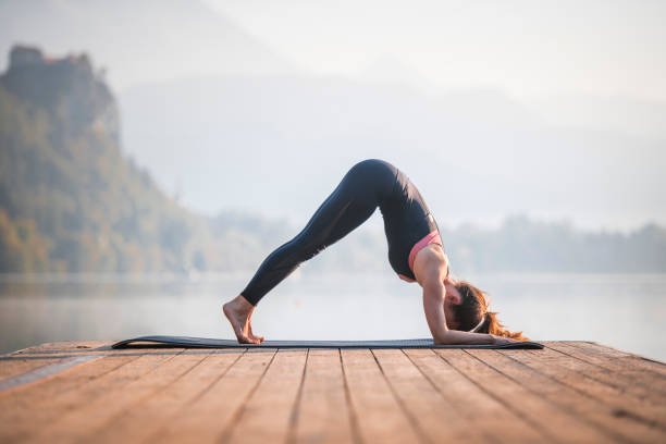 Dolphin Pose Yoga